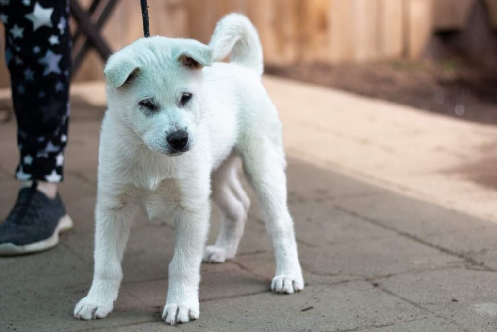 fb img 1712447266612