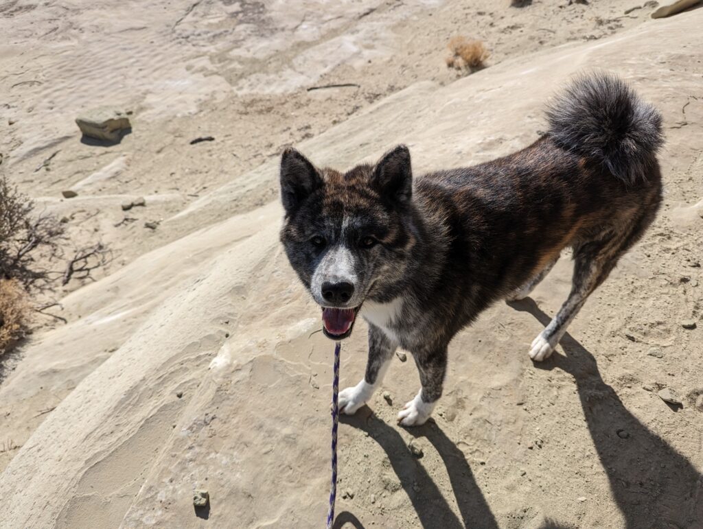 pxl 20230213 185410785